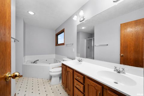 Tiny photo for 1617 300TH Street, Sherrard, IL 61281 (MLS # QC4269073)