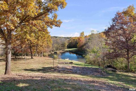 Tiny photo for 1617 300TH Street, Sherrard, IL 61281 (MLS # QC4269073)