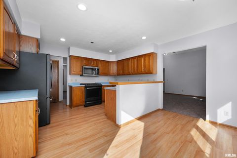 Tiny photo for 1617 300TH Street, Sherrard, IL 61281 (MLS # QC4269073)