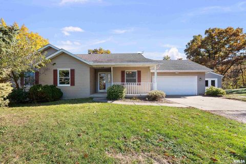 Photo of 1617 300TH Street, Sherrard, IL 61281 (MLS # QC4269073)