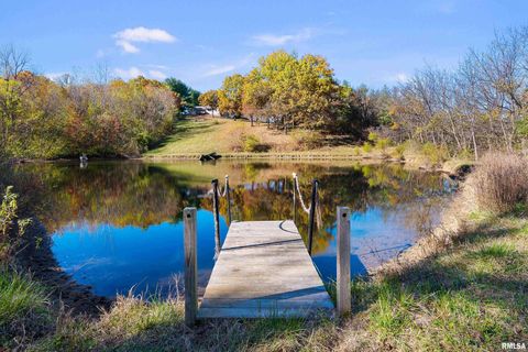 Tiny photo for 1617 300TH Street, Sherrard, IL 61281 (MLS # QC4269073)