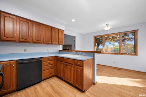 Tiny photo for 1617 300TH Street, Sherrard, IL 61281 (MLS # QC4269073)