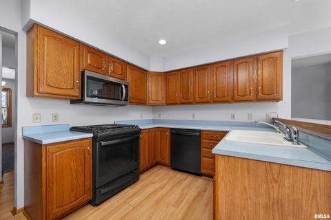 Tiny photo for 1617 300TH Street, Sherrard, IL 61281 (MLS # QC4269073)