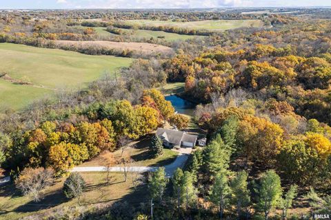 Tiny photo for 1617 300TH Street, Sherrard, IL 61281 (MLS # QC4269073)