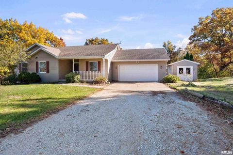 Tiny photo for 1617 300TH Street, Sherrard, IL 61281 (MLS # QC4269073)