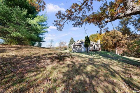 Tiny photo for 1617 300TH Street, Sherrard, IL 61281 (MLS # QC4269073)