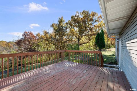 Tiny photo for 1617 300TH Street, Sherrard, IL 61281 (MLS # QC4269073)