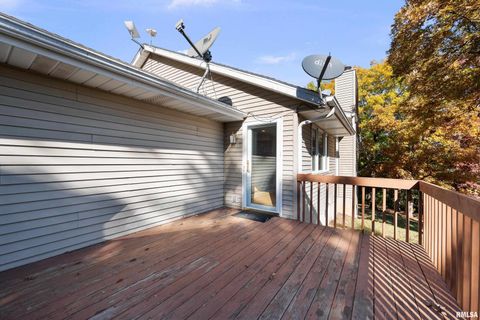 Tiny photo for 1617 300TH Street, Sherrard, IL 61281 (MLS # QC4269073)