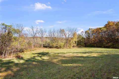 Tiny photo for 1617 300TH Street, Sherrard, IL 61281 (MLS # QC4269073)