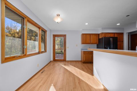 Tiny photo for 1617 300TH Street, Sherrard, IL 61281 (MLS # QC4269073)