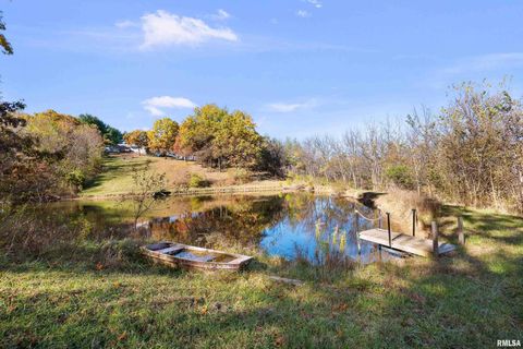 Tiny photo for 1617 300TH Street, Sherrard, IL 61281 (MLS # QC4269073)