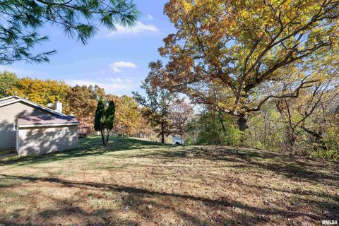 Tiny photo for 1617 300TH Street, Sherrard, IL 61281 (MLS # QC4269073)