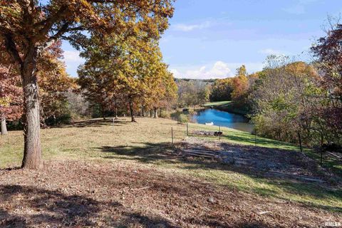 Tiny photo for 1617 300TH Street, Sherrard, IL 61281 (MLS # QC4269073)