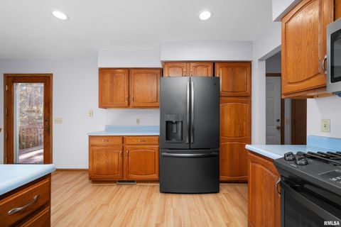 Tiny photo for 1617 300TH Street, Sherrard, IL 61281 (MLS # QC4269073)