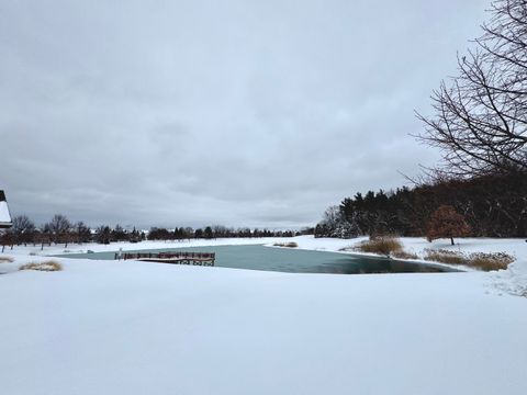 Tiny photo for 9177 Ritz Court, Huntley, IL 60142 (MLS # 12532575)