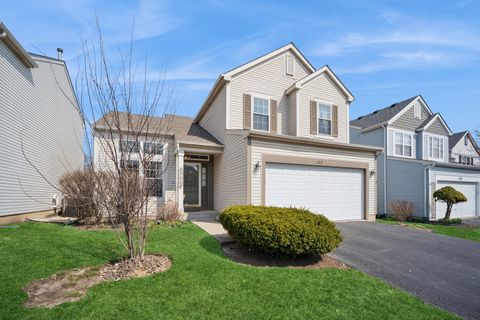 Photo of 122 E Aspen Circle, Hainesville, IL 60030 (MLS # 12586624)