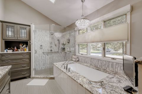 Tiny photo for La Grange, IL 60525 (MLS # 12645424)