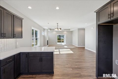 Tiny photo for 1323 5TH Avenue, De Witt, IA 52742 (MLS # QC4268926)