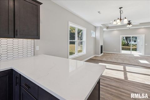 Tiny photo for 1323 5TH Avenue, De Witt, IA 52742 (MLS # QC4268926)