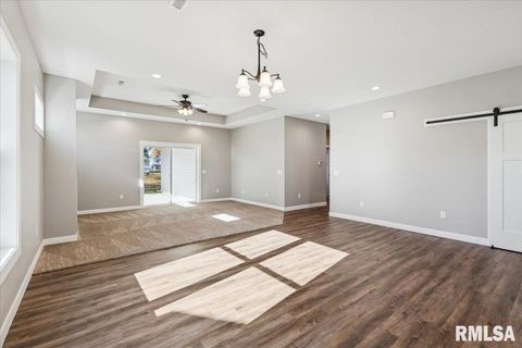 Tiny photo for 1323 5TH Avenue, De Witt, IA 52742 (MLS # QC4268926)