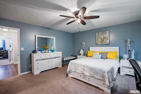 Tiny photo for 1414 E Willow Drive, Marion, IL 62959 (MLS # QC4266684)