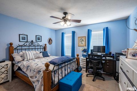 Tiny photo for 1414 E Willow Drive, Marion, IL 62959 (MLS # QC4266684)