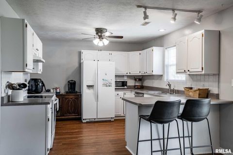 Tiny photo for 1414 E Willow Drive, Marion, IL 62959 (MLS # QC4266684)