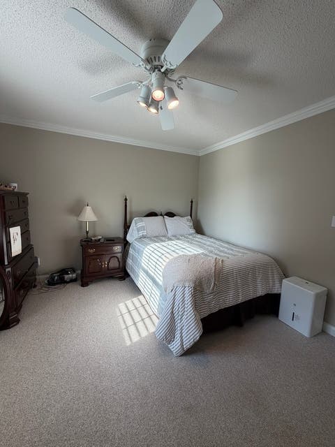 Tiny photo for 25 Kruger Lane, Metropolis, IL 62960 (MLS # 12733328)