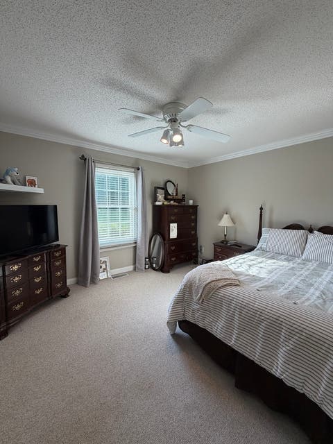 Tiny photo for 25 Kruger Lane, Metropolis, IL 62960 (MLS # 12733328)