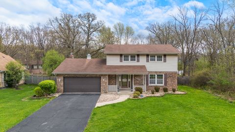 Photo of 24151 S PLUM VALLEY Drive, Crete, IL 60417 (MLS # 12627240)
