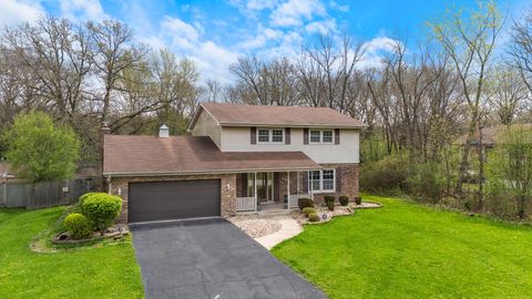 Tiny photo for 24151 S PLUM VALLEY Drive, Crete, IL 60417 (MLS # 12627240)