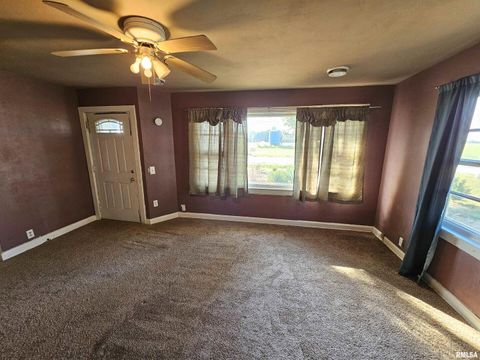 Tiny photo for 233 N US Hwy 45, Cisne, IL 62823 (MLS # EB460155)