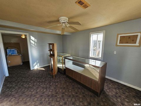 Tiny photo for 233 N US Hwy 45, Cisne, IL 62823 (MLS # EB460155)