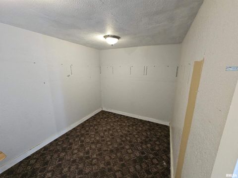 Tiny photo for 233 N US Hwy 45, Cisne, IL 62823 (MLS # EB460155)