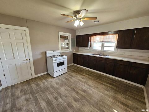 Tiny photo for 233 N US Hwy 45, Cisne, IL 62823 (MLS # EB460155)