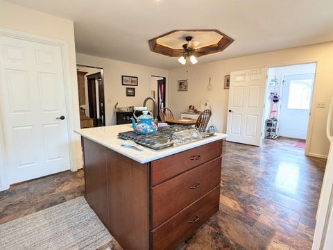 Tiny photo for 406 S Garfield Street, Leaf River, IL 61047 (MLS # 12463115)