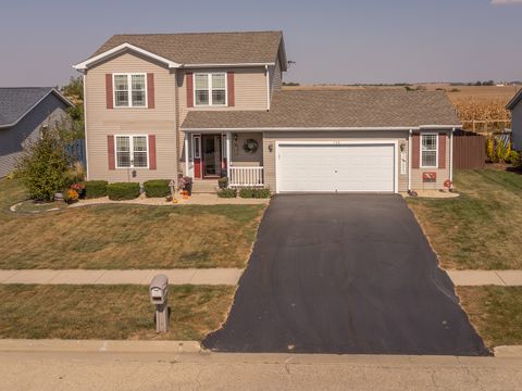 Photo of 706 E Hewitt Street, Forreston, IL 61030 (MLS # 12490195)