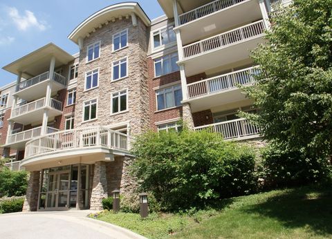 425 BENJAMIN Drive 209 Vernon Hills IL 60061