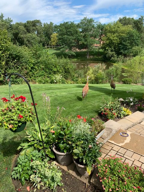 Tiny photo for 165 Haverton Way, North Barrington, IL 60010 (MLS # 12542210)