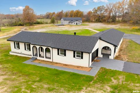 Tiny photo for 7837 State Highway 37, Benton, IL 62812 (MLS # EB456024)