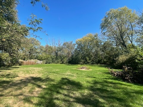 12905 S 82nd Court