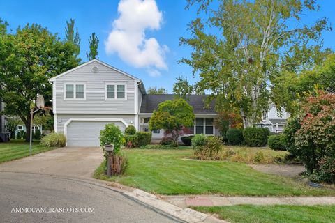 12 Aberdeen Court Buffalo Grove IL 60089