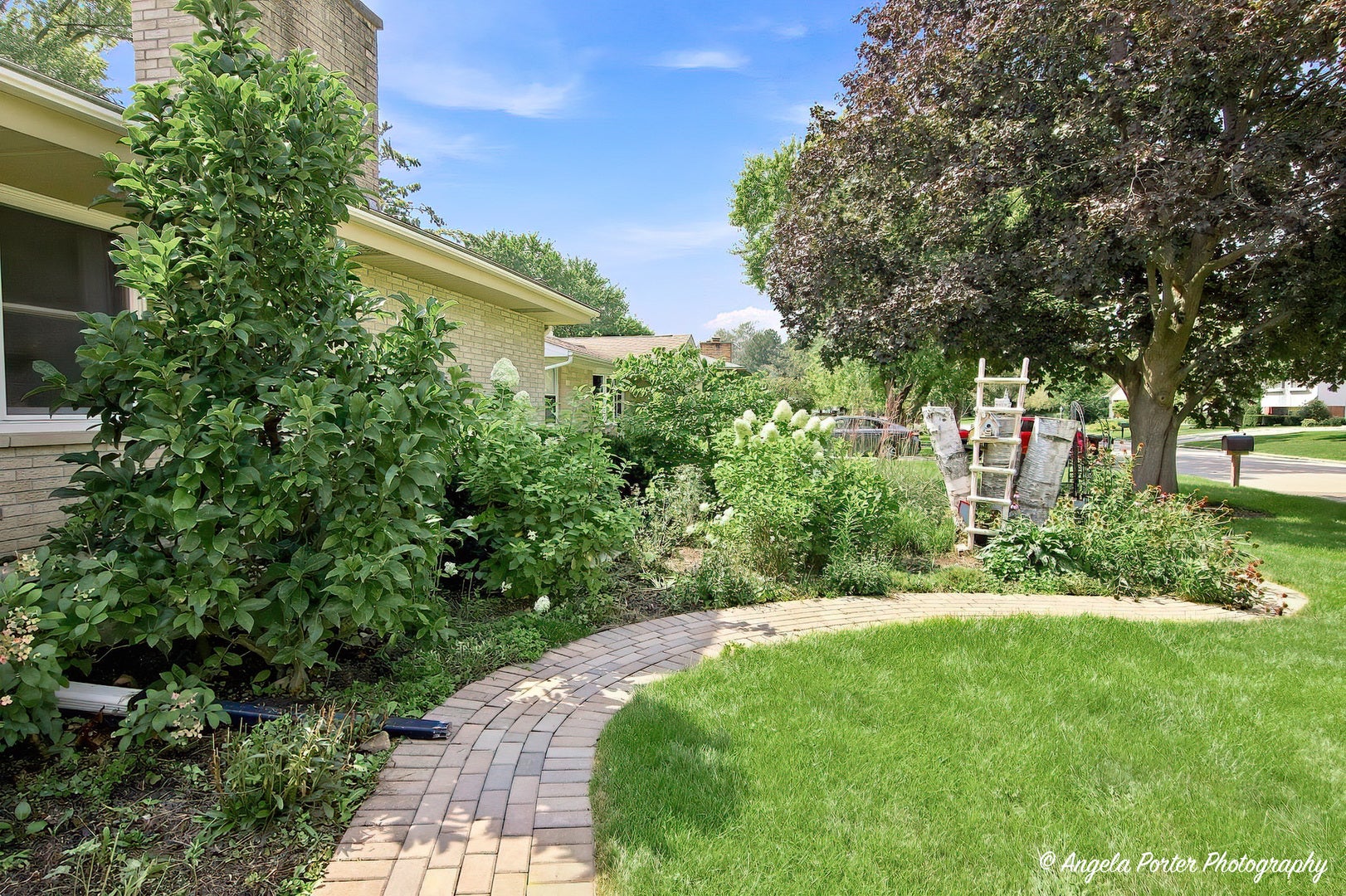 3705 W Young Street