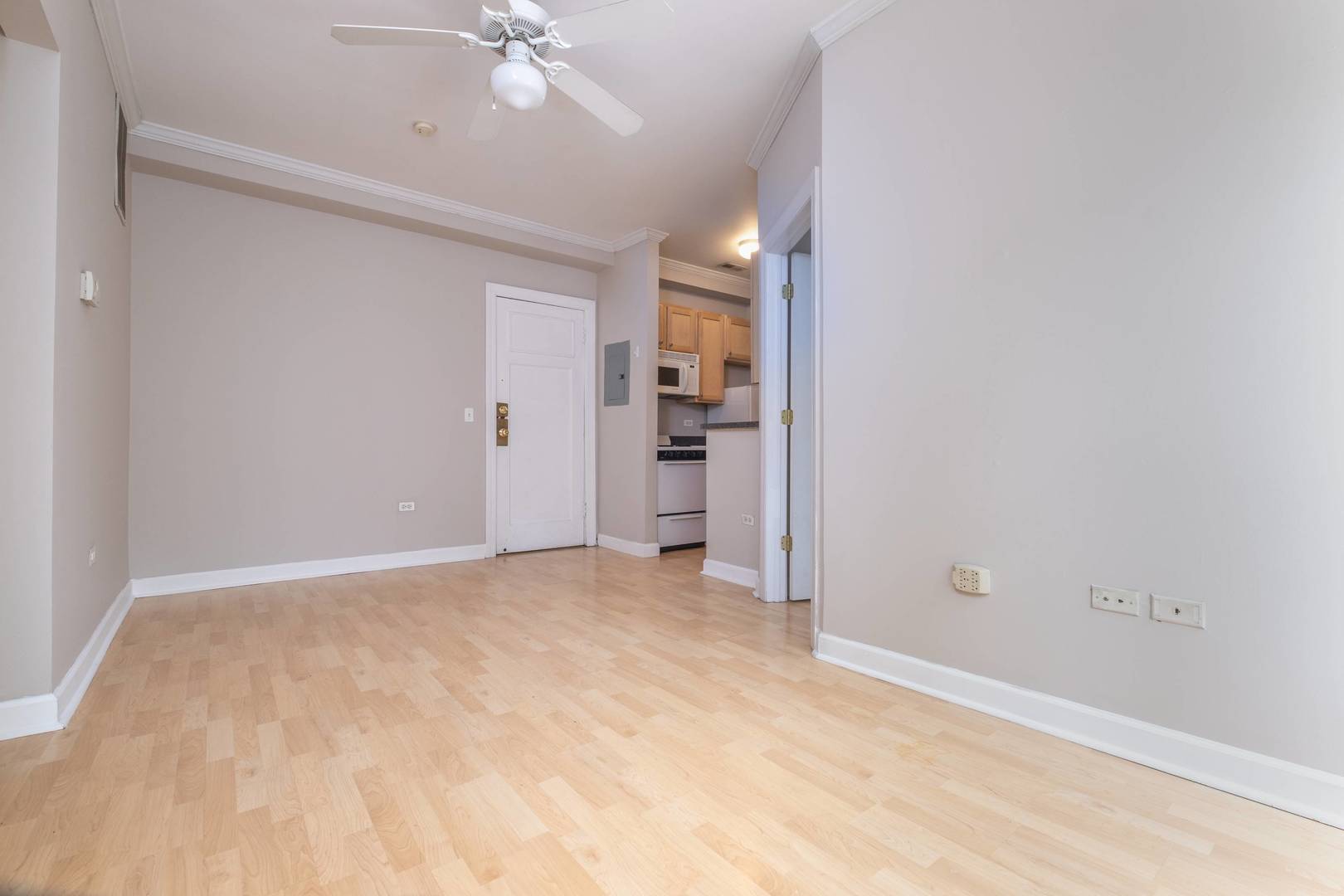 738 W Briar Place 302
