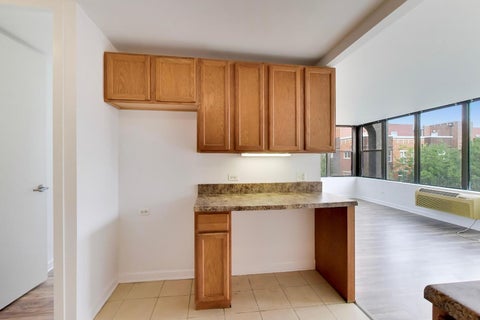 Tiny photo for 345 E Eastgate Place #302, Chicago, IL 60616 (MLS # 12749724)