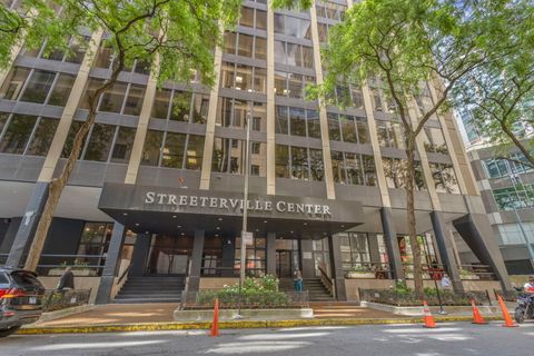 233 E ERIE Street 2203 Chicago IL 60611