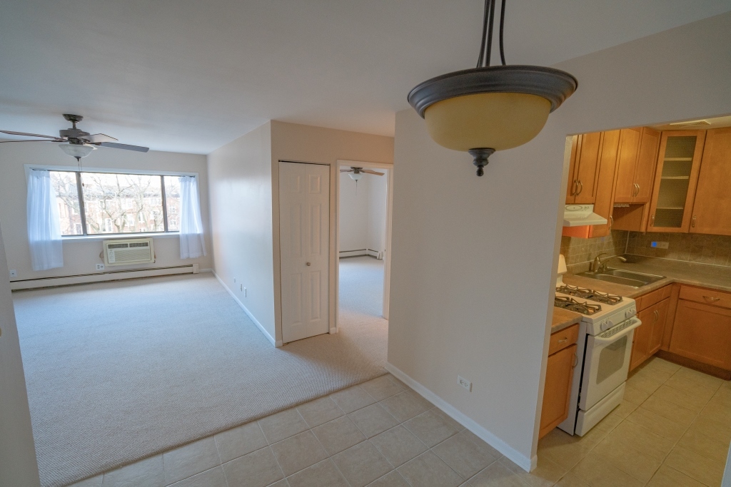 3620 N Pine Grove Avenue 501