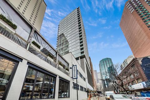 550 N Saint Clair Street 1408 Chicago IL 60611