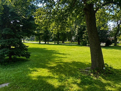 Tiny photo for 316 E Madison Street, Lombard, IL 60148 (MLS # 12742490)