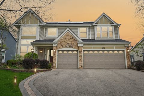 Photo of 612 E Delgado Drive, Palatine, IL 60074 (MLS # 12627500)